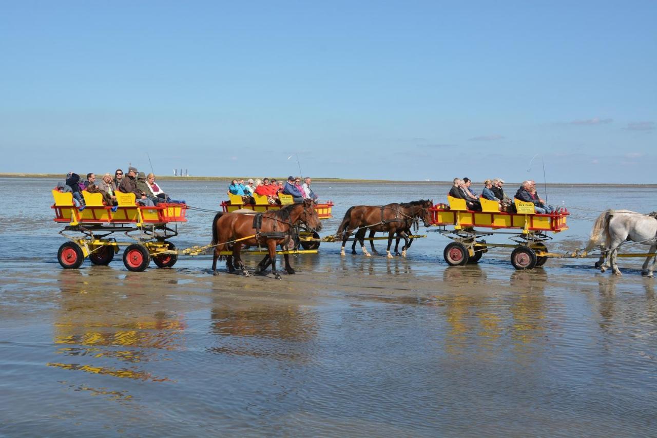 Luettje Huus Frieda Mit Strandkorb Am Strand Von Mai Bis September Apartman Cuxhaven Kültér fotó